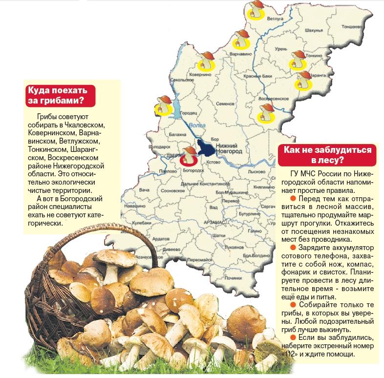 Дневник нижегородская область еду. Карта грибных мест Нижегородской области. Карта грибника Нижегородской области 2020. Карта грибных мест Нижегородской области 2020. Карта сбора грибов Нижегородской области.